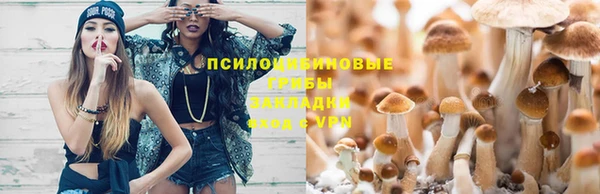 мефедрон Алексеевка