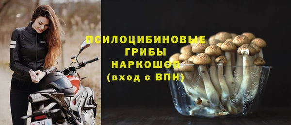 таблы Алзамай