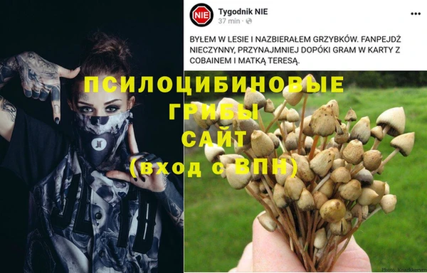 мяу мяу мука Абаза