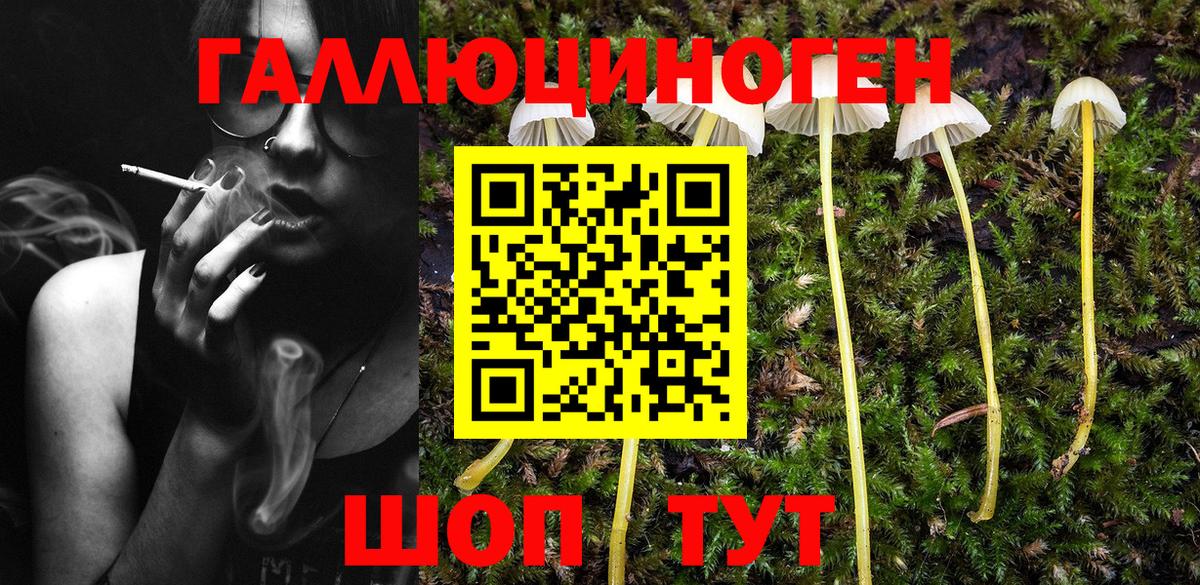 Галлюциногенные грибы Cubensis Севастополь