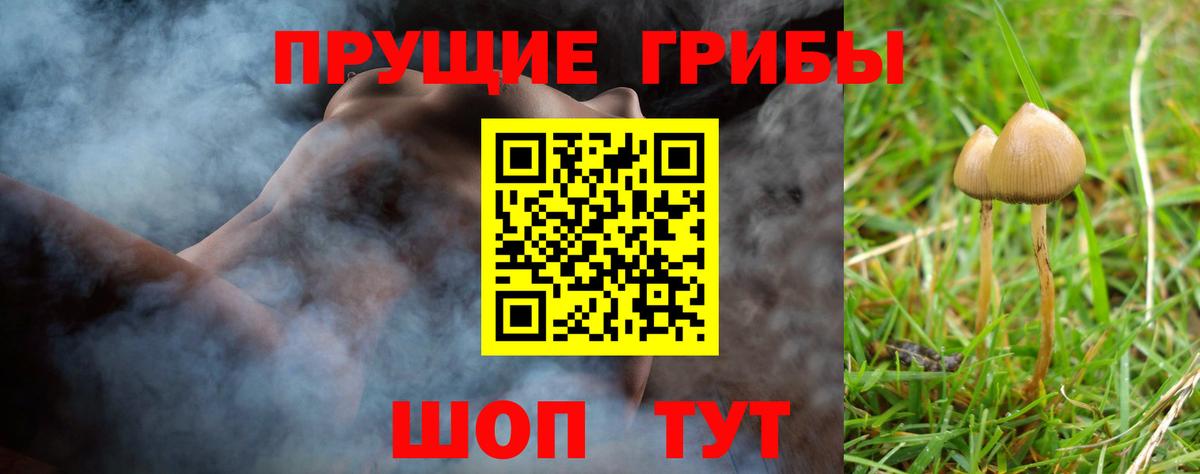 Псилоцибиновые грибы мухоморы  Псилоцибиновые грибы ЛСД  где найти   Севастополь  Вход с VPN 